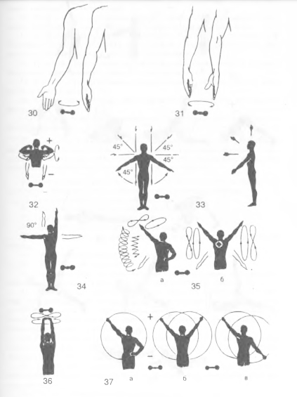 Упражнения на силу для мышц рук и плечевого пояса