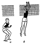 Блокирование в волейболе